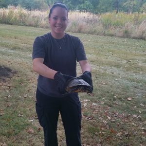 Officer Tess Olson rescuing turtle