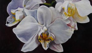 Wild Orchids by Amy Denny