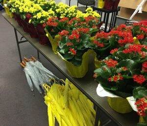 Red and yellow Kolanchoe plants, ferns, and clear and yellow umbrellas available for purchase in the Foundation.