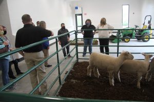 Faculty and staff tour multipurpose room with sheep pen