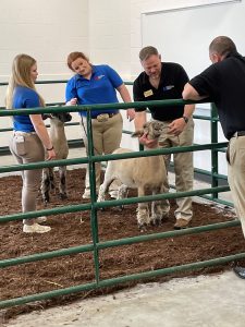 Professor Craig Beckmier with sheep and students in the Kreher Agriculture Center animal science pavilion 