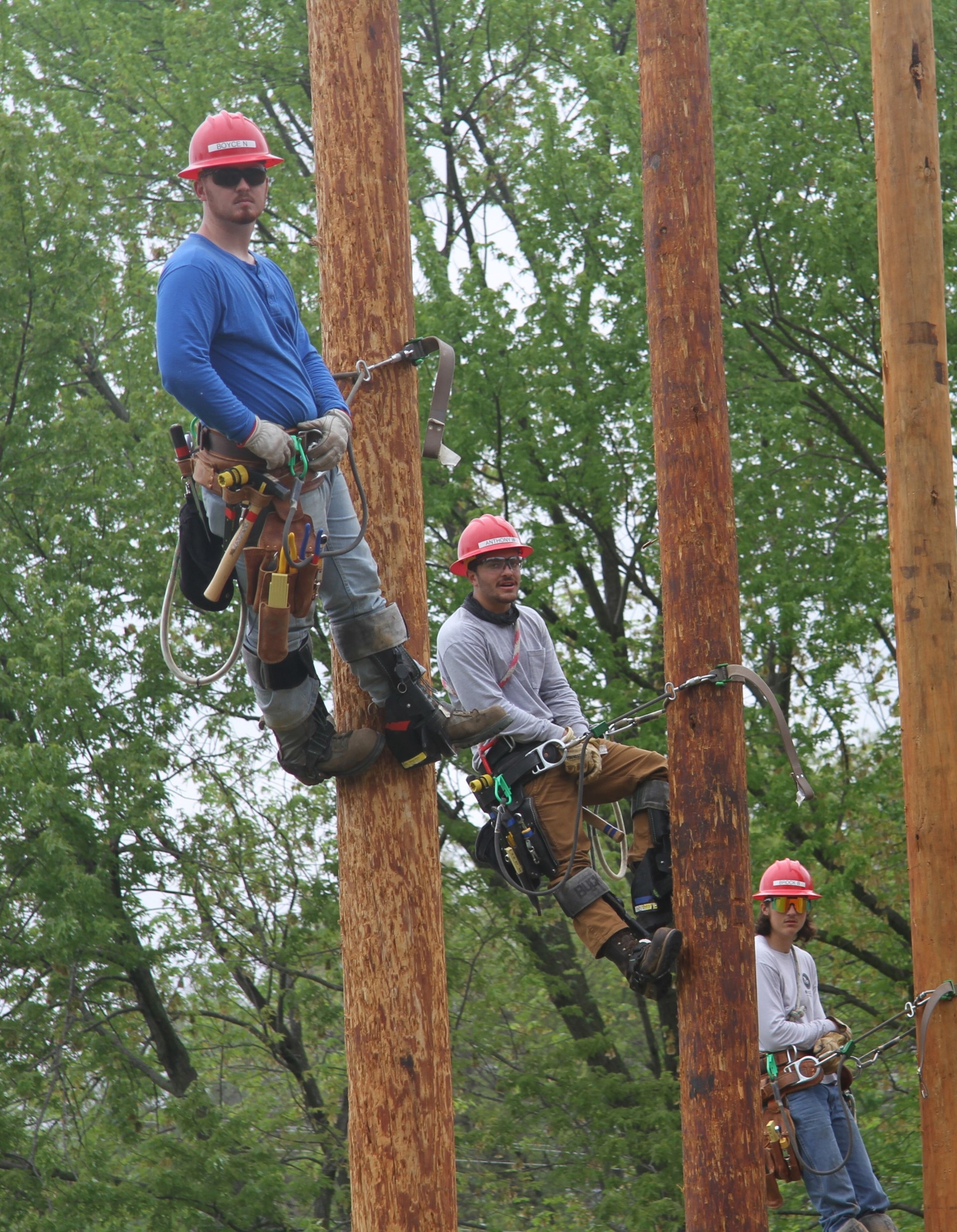 Brock Bellaver, Boyce Nichols, Anthony Wilkins.