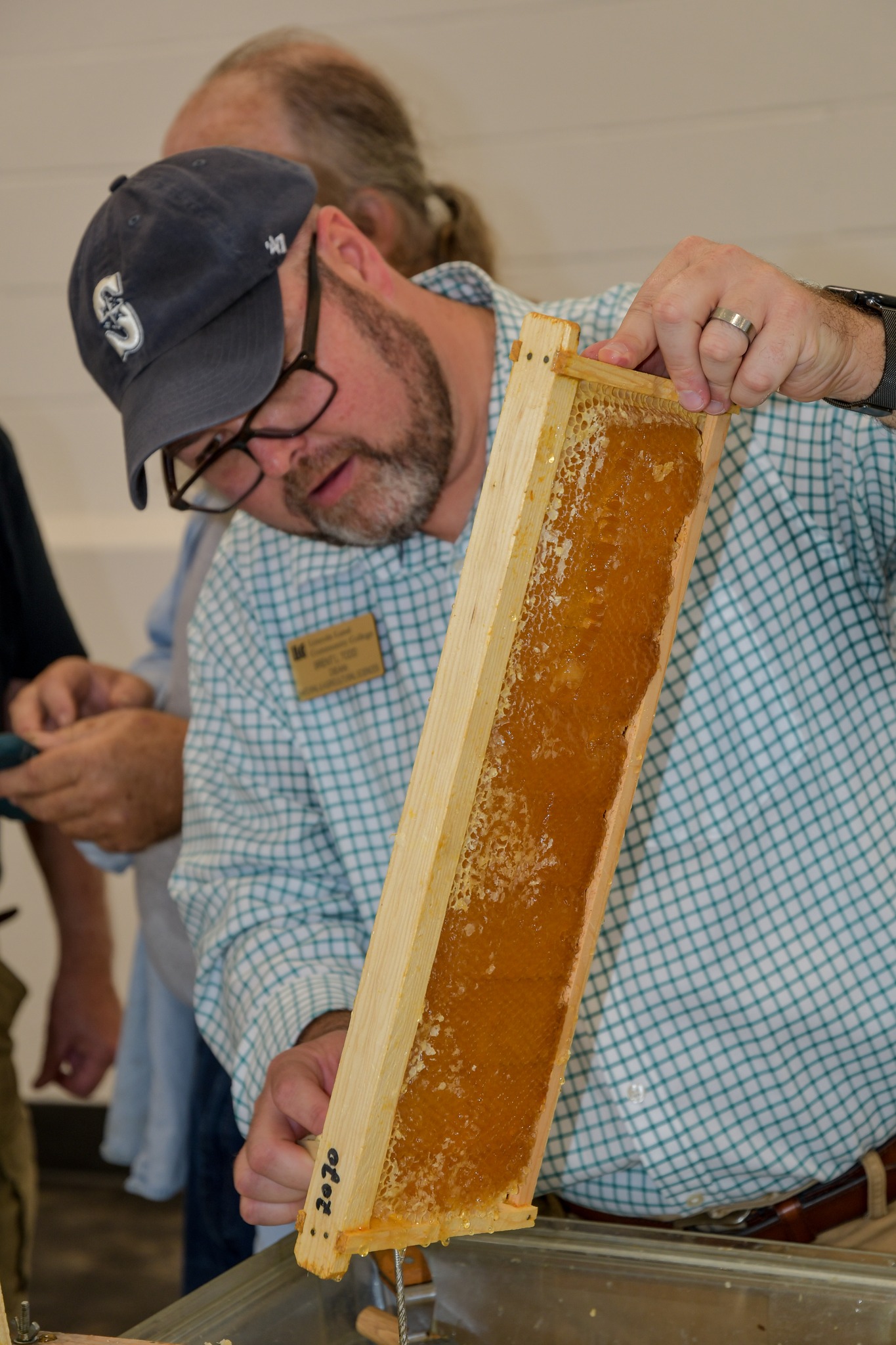 Man in hat inspecting honeycomb