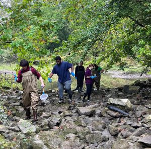 Five students wearing gloves, holding nets and sample jars, and walking on rocks near creek