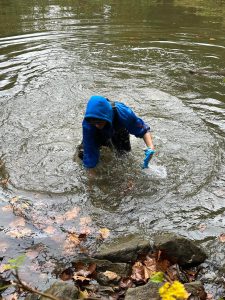 Student in creek collecting a sample