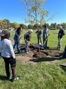Ag club students filling in soil around the newly planted tree