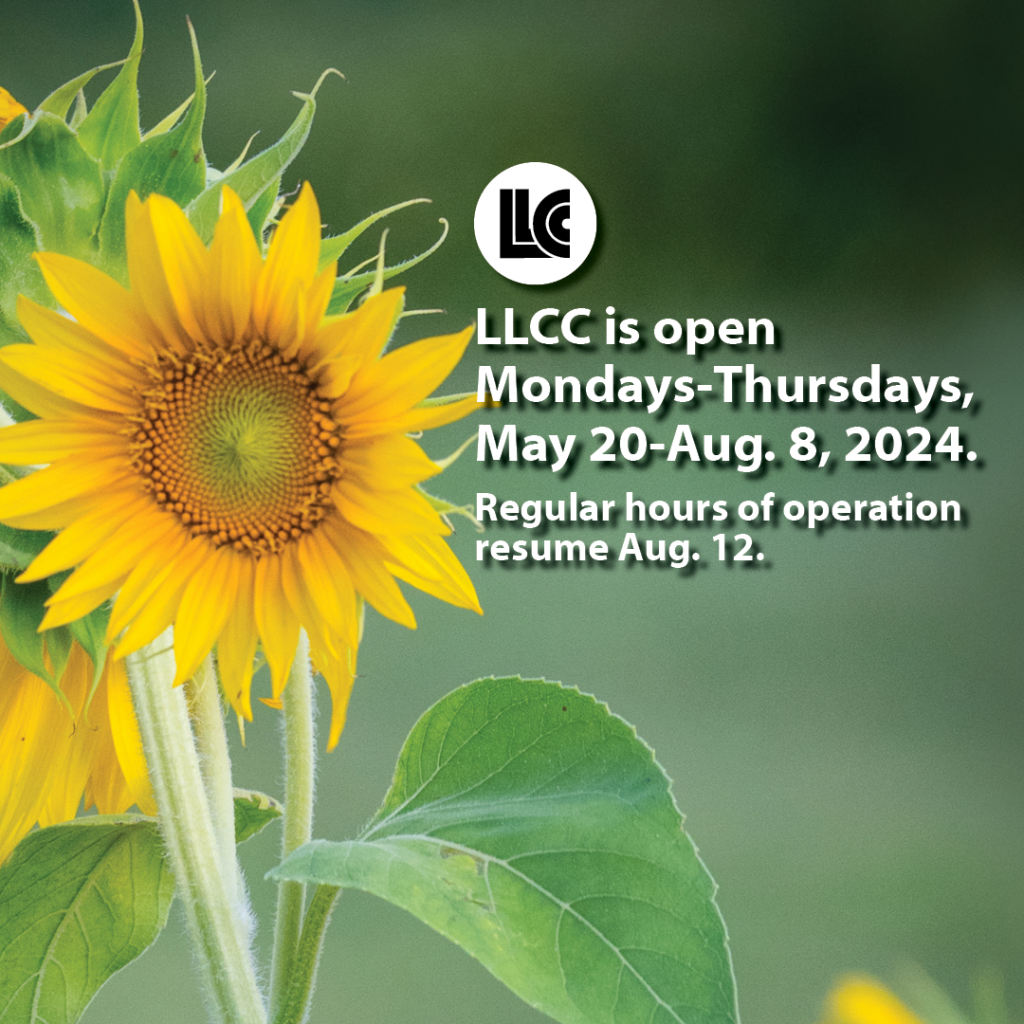 Picture of sunflower. LLCC is open Mondays-
Thursdays, May 20-Aug. 8, 2024. Regular hours of operation resume Aug. 12.