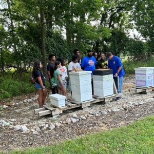 Members of the Boys and Girls Club learn about bees at the LLCC apiary.