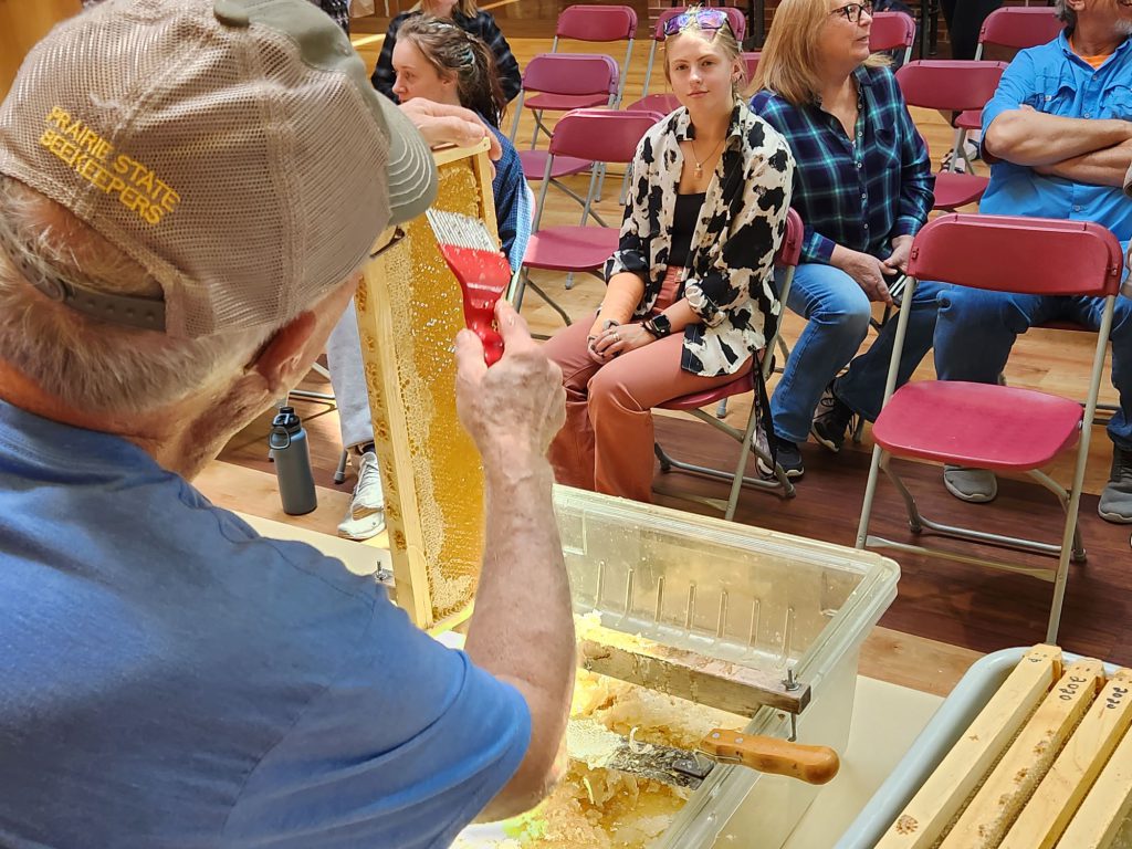 A beekeeper scraping a honeycomb to retrieve the honey.