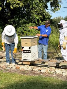 Volunteers harvesting screens from bee hives.