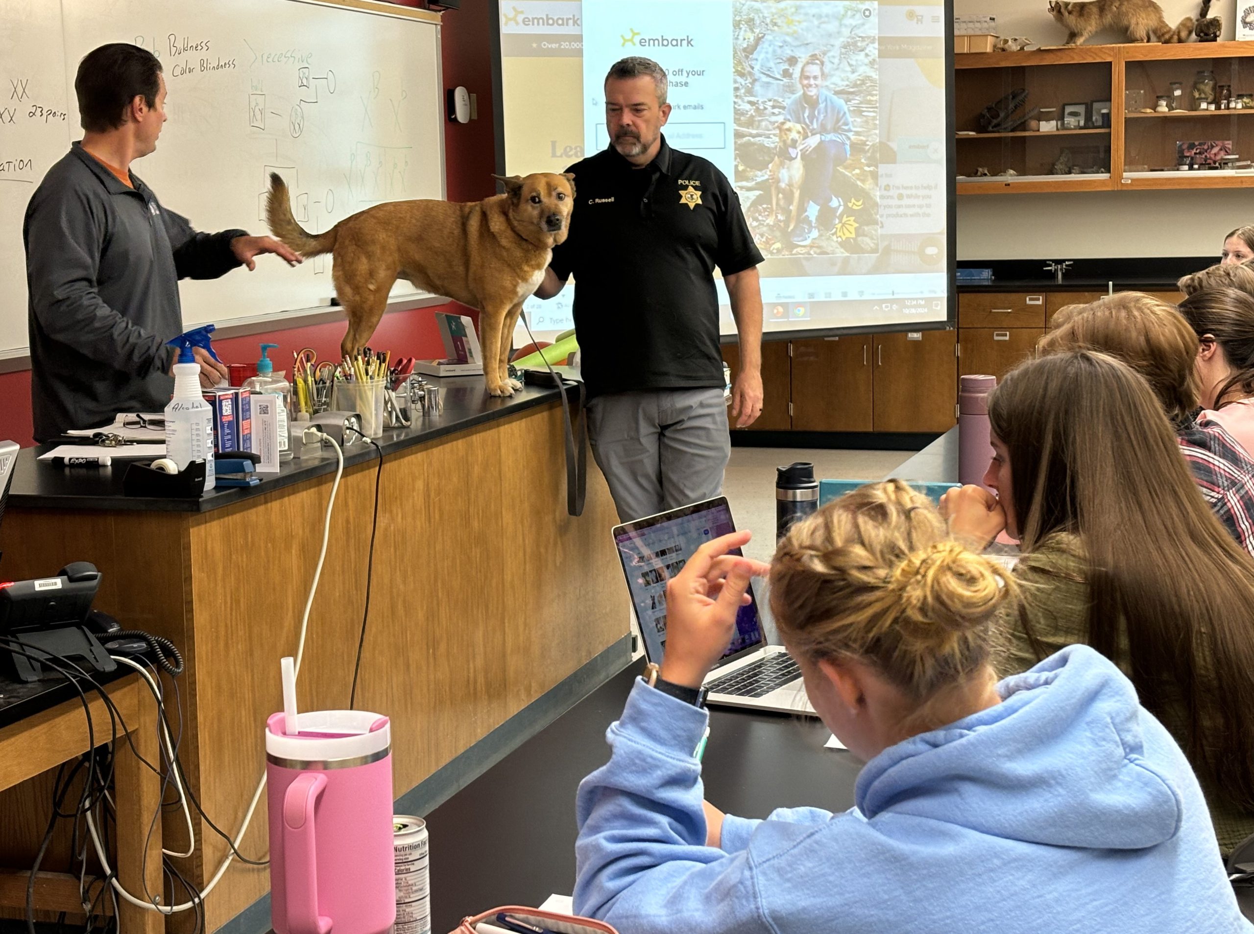 LLCC service dog, Ember, on a lab table in a BIO 111 class.